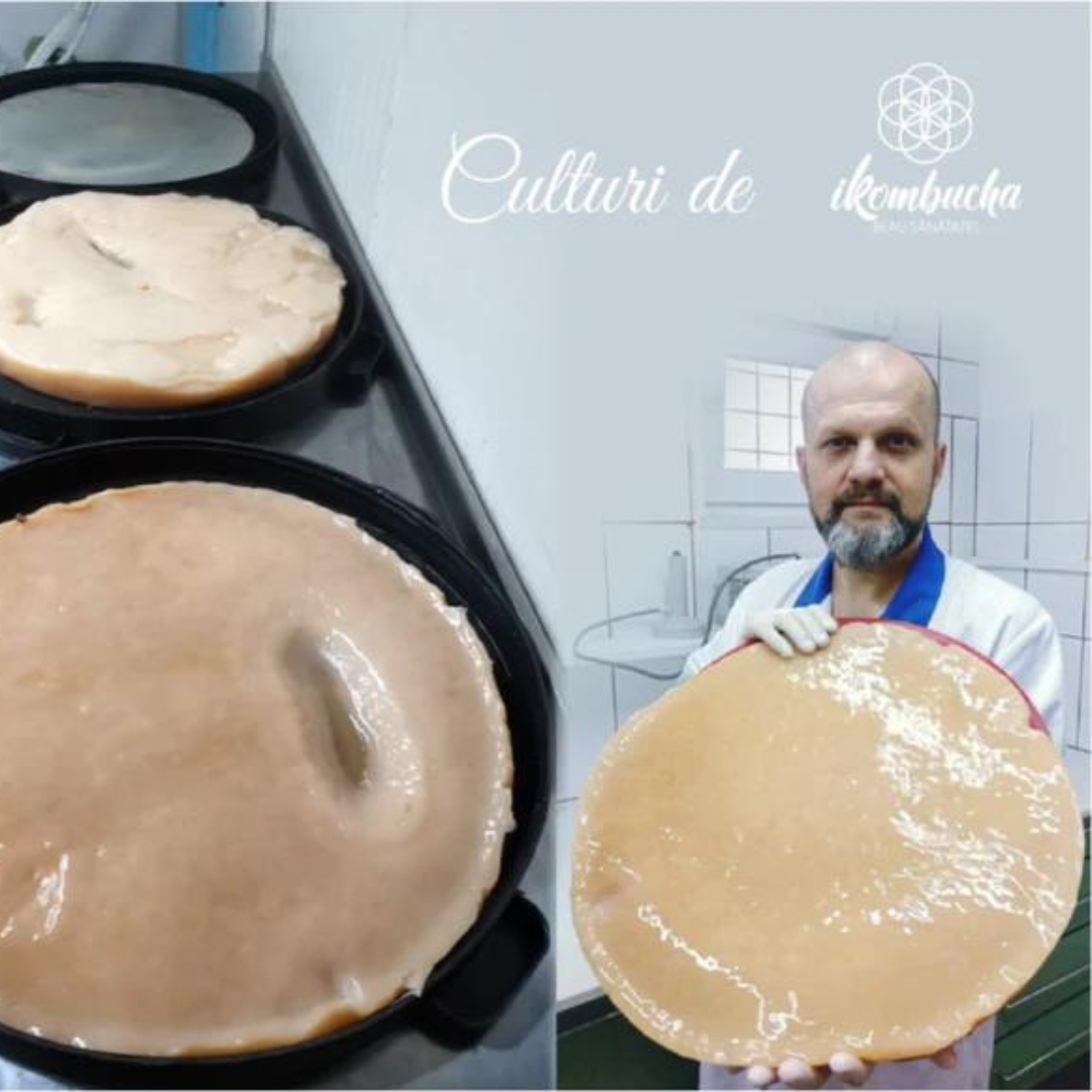 Ce este și ce nu este Kombucha?