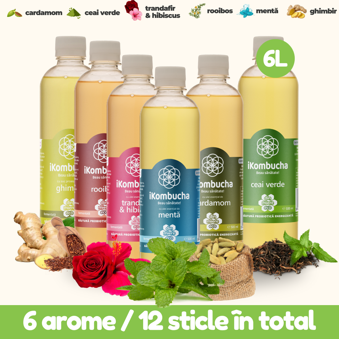 iKombucha - set 12x500 ml 100% ceai Kombucha