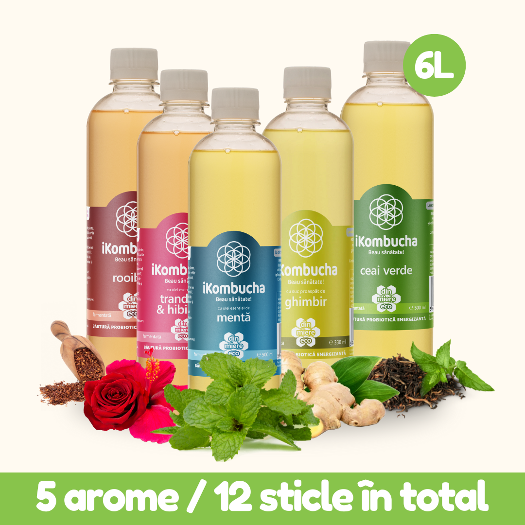 iKombucha - set 12x500 ml 100% ceai Kombucha