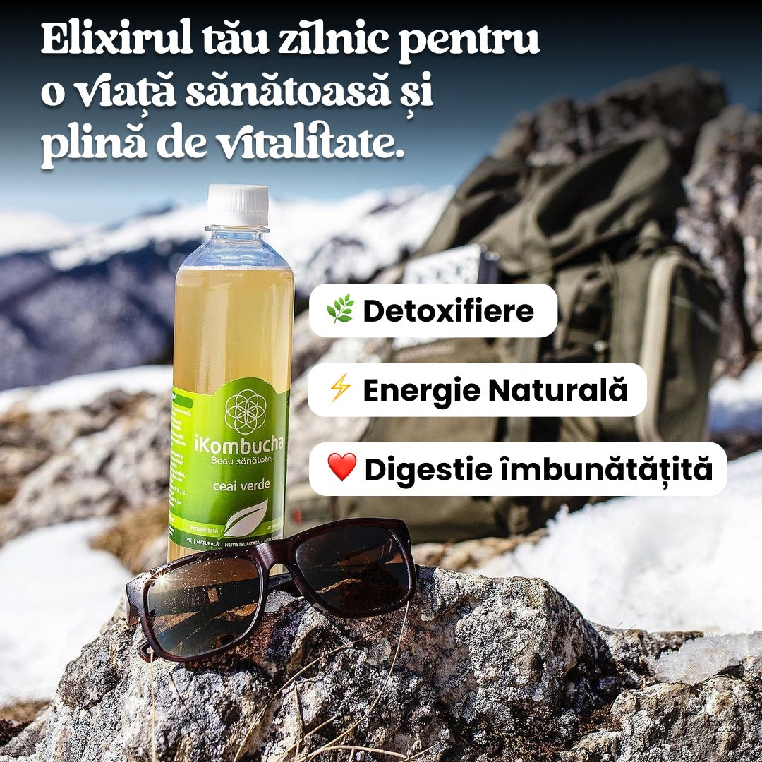 iKombucha - set 12x500 ml 100% ceai Kombucha