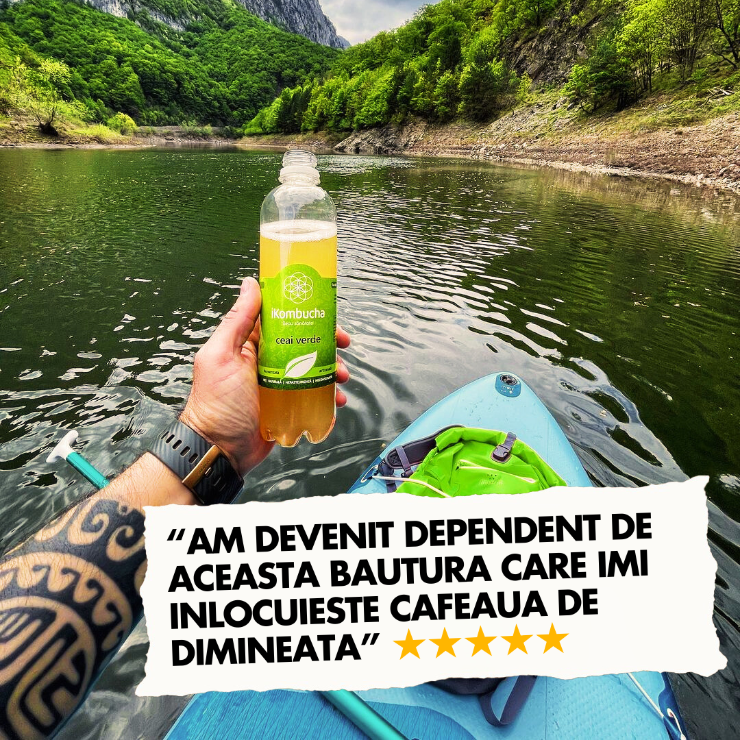 iKombucha - set 12x500 ml 100% ceai Kombucha