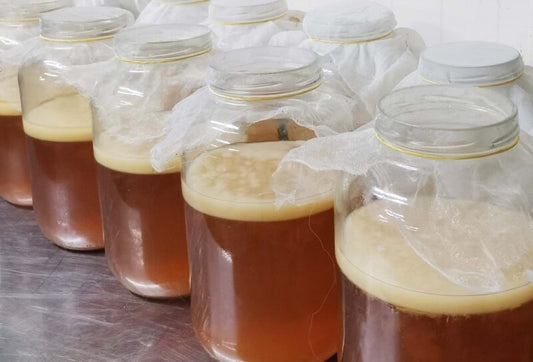 Kombucha – cu probiotice obţinute 100% natural