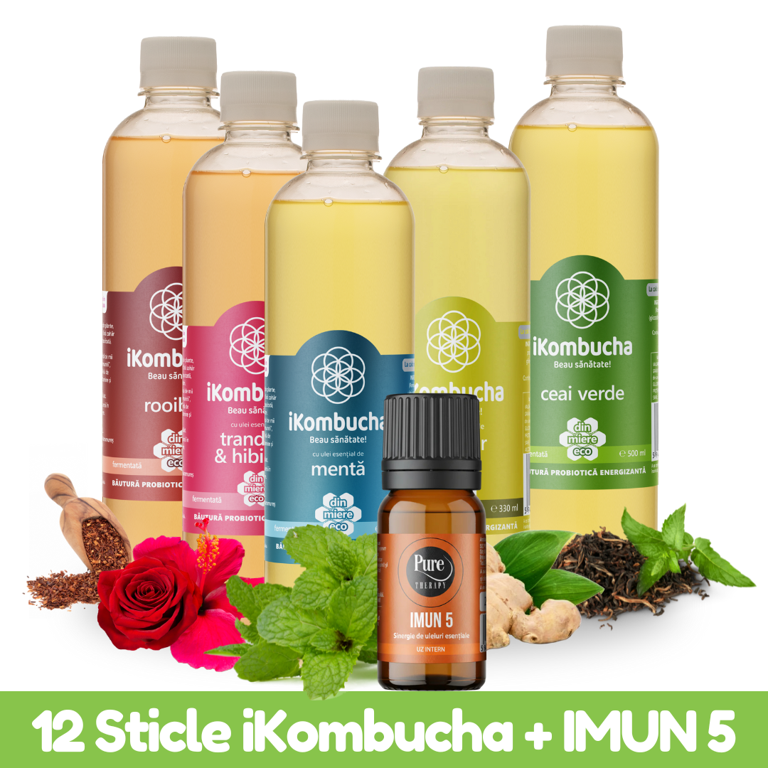 Pachetul de Iarnă – 12 Sticle iKombucha + Ulei Esențial IMUN 5