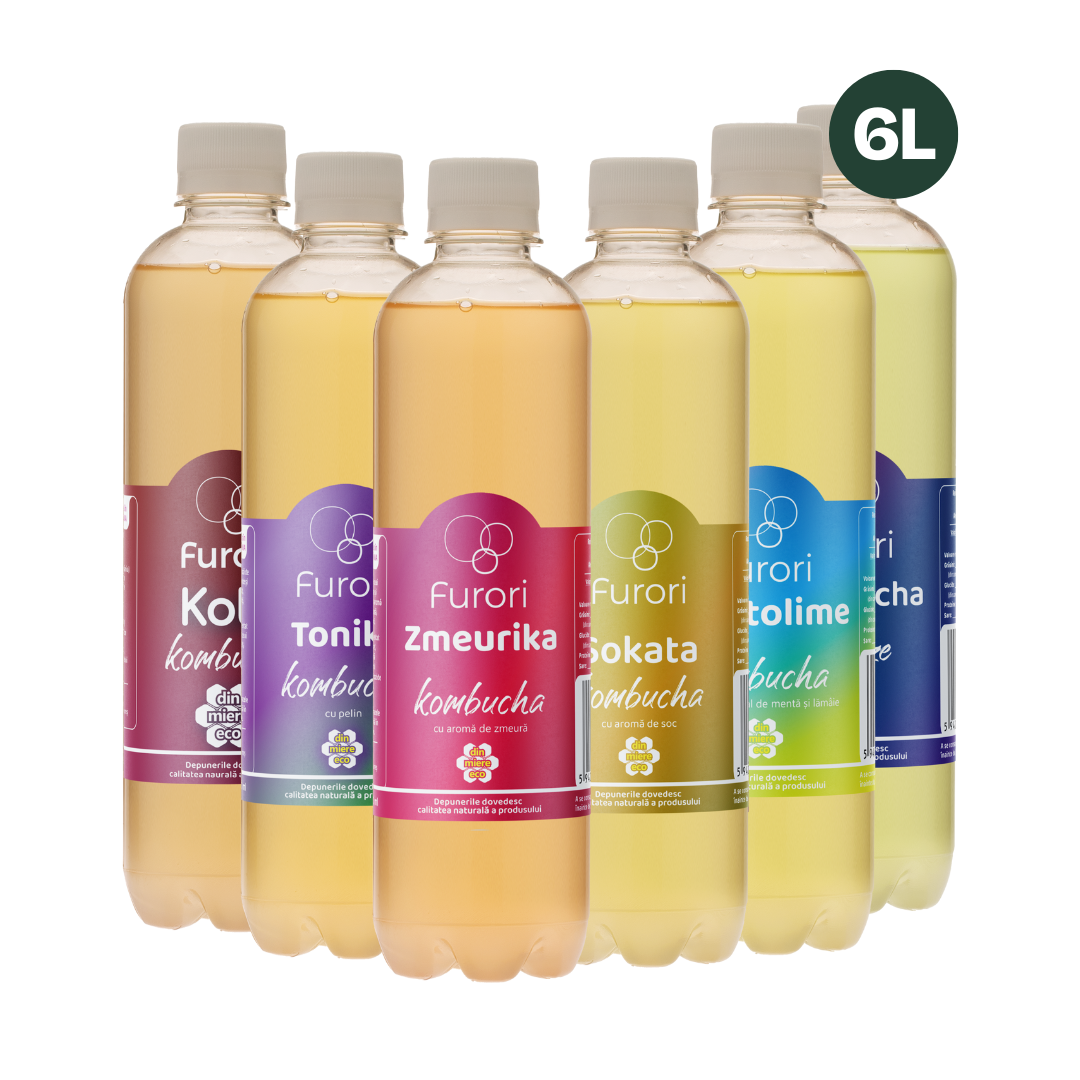 Furori - set 12x500 ml  - bautura racoritoare din kombucha