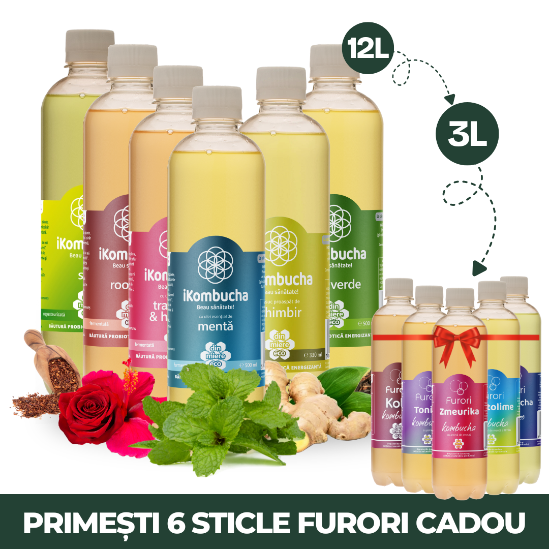 24 iKombucha + 6 Furori GRATIS