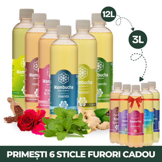 24 iKombucha + 6 Furori GRATIS
