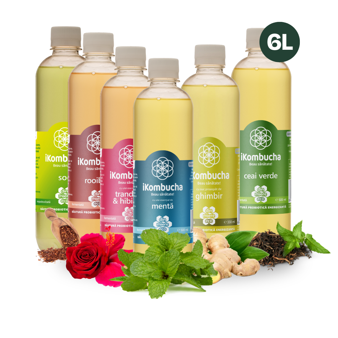 iKombucha - set 12x500 ml 100% ceai Kombucha