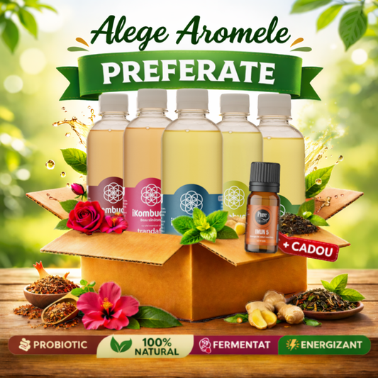 Cutie Personalizată iKombucha (6, 12 sau 18 Sticle)