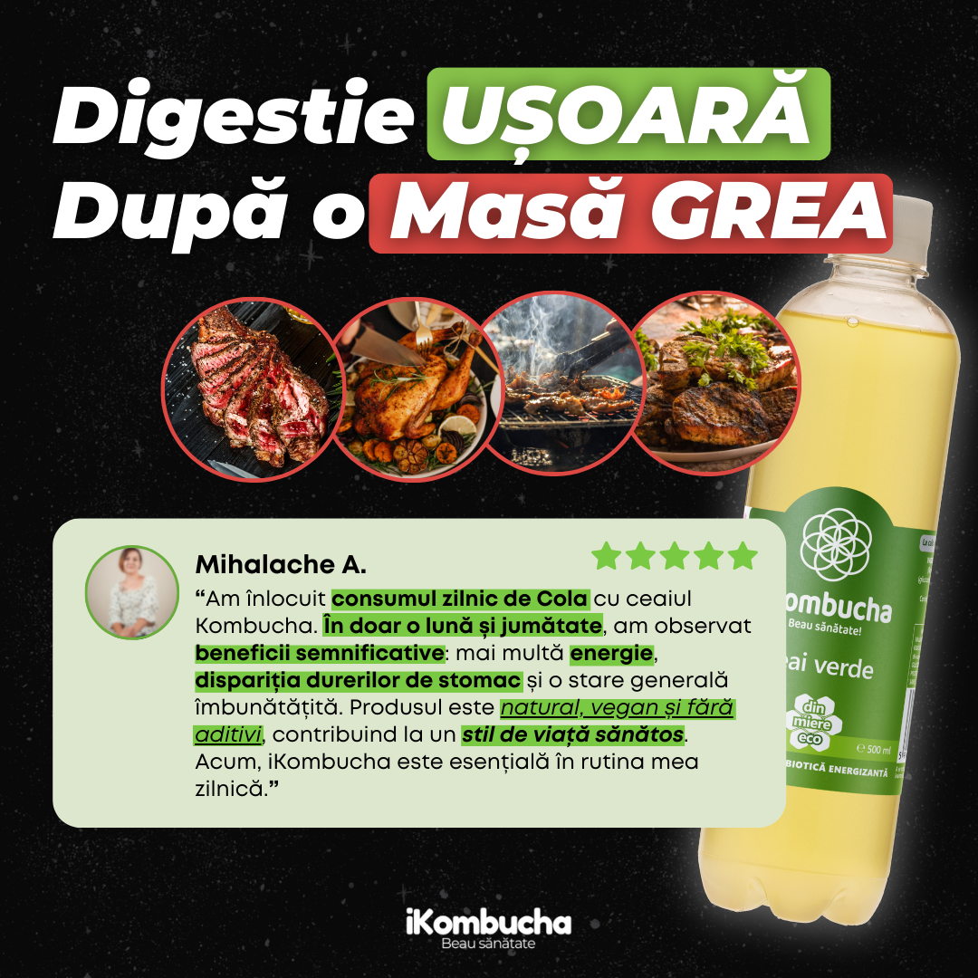 iKombucha - set 12x500 ml 100% ceai Kombucha