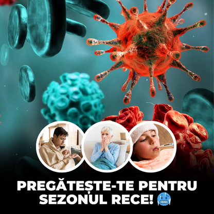 Pachetul de Iarnă – 12 Sticle iKombucha + Ulei Esențial IMUN 5