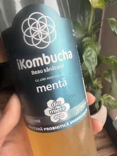 Fotografie recenzie Alexandra Constantin