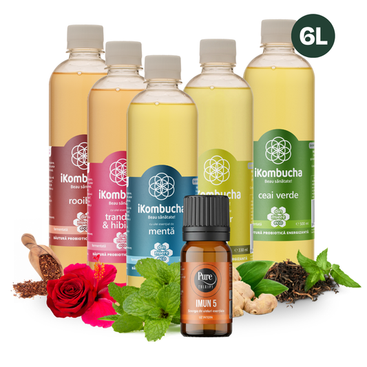 Pachetul de Iarnă – 12 Sticle iKombucha + Ulei Esențial IMUN 5