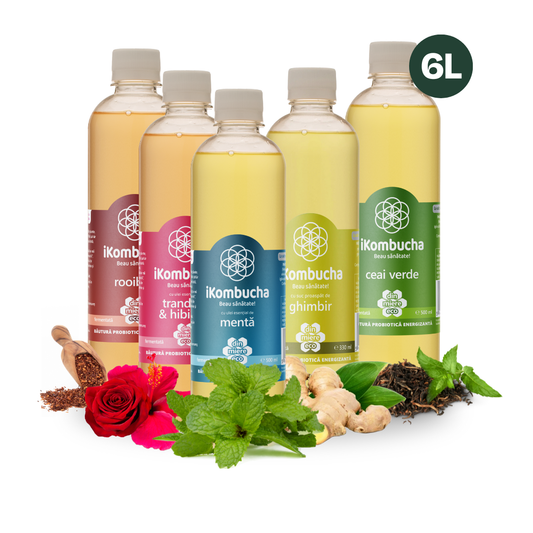 iKombucha - set 12x500 ml 100% ceai Kombucha