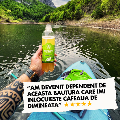 iKombucha - set 12x500 ml 100% ceai Kombucha