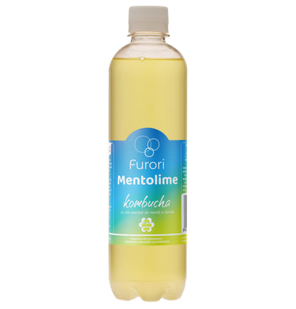 Furori - set 12x500 ml  - bautura racoritoare pe baza de kombucha