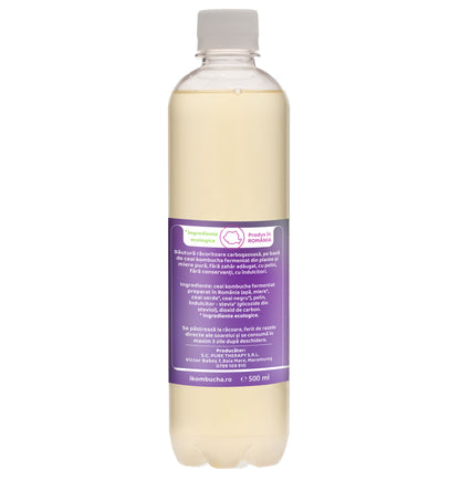 Apa tonica fara zahar pe baza de Kombucha, cu pelin, ceai verde, ceai negru si miere, pentru digestie, 500 ml, Furori