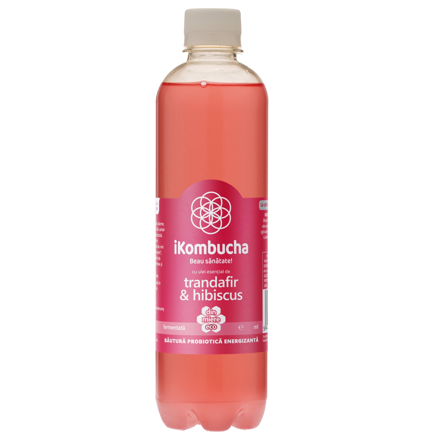 iKombucha - set 12x500 ml 100% ceai Kombucha