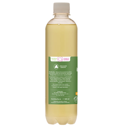 Ceai bio fermentat cu probiotice Kombucha, cu CEAI VERDE, cu bionutrienti, enzime si antioxidanti, pentru rezistenta, pentru digestie si antibalonare, 500 ml, iKombucha