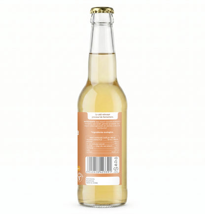 iKombucha, ceai Kombucha cu suc proaspat de GHIMBIR si CEAI VERDE, cu bionutrienti, enzime si antioxidanti, pentru rezistenta, pentru digestie si antibalonare, 330 ml, iKombucha