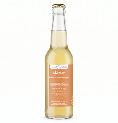 iKombucha, ceai Kombucha cu suc proaspat de GHIMBIR si CEAI VERDE, cu bionutrienti, enzime si antioxidanti, pentru rezistenta, pentru digestie si antibalonare, 330 ml, iKombucha