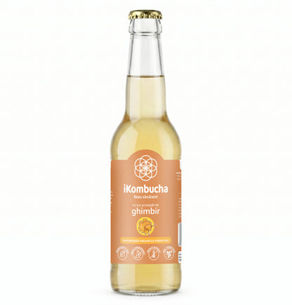 iKombucha, ceai Kombucha cu suc proaspat de GHIMBIR si CEAI VERDE, cu bionutrienti, enzime si antioxidanti, pentru rezistenta, pentru digestie si antibalonare, 330 ml, iKombucha