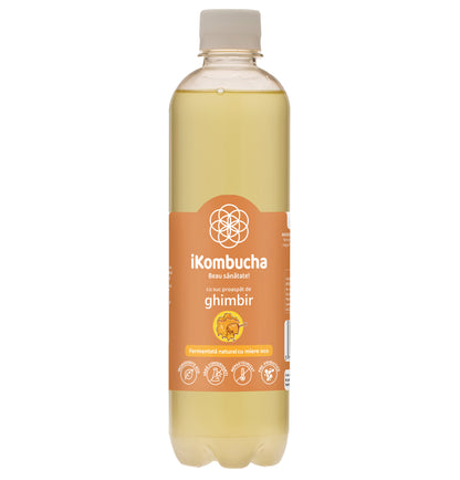 iKombucha, ceai Kombucha cu suc proaspat de GHIMBIR si CEAI VERDE, cu bionutrienti, enzime si antioxidanti, pentru rezistenta, pentru digestie si antibalonare, 500 ml, iKombucha