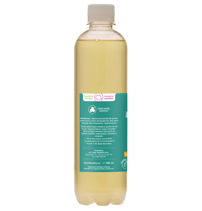 Ceai kombucha cu MENTA, probiotice, cu vitamine si enzime pentru flora intestinala si digestie, 500 ml, iKombucha