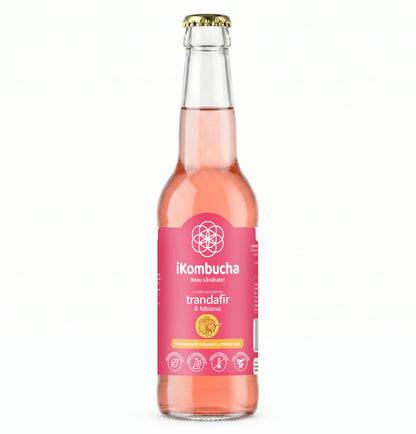 Ceai Kombucha, cu TRANDAFIR si HIBISCUS, cu continut ridicat de probiotice,enzime si antioxidanti, cu beneficii pentru imunitate si arderea grasimilor, 330 ml, iKombucha