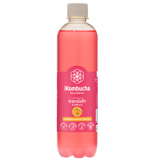 Ceai Kombucha fara zahar, cu TRANDAFIR si HIBISCUS, cu probiotice, vitamine si enzime pentru digestie si reducerea inflamatiei, 500 ml, iKombucha