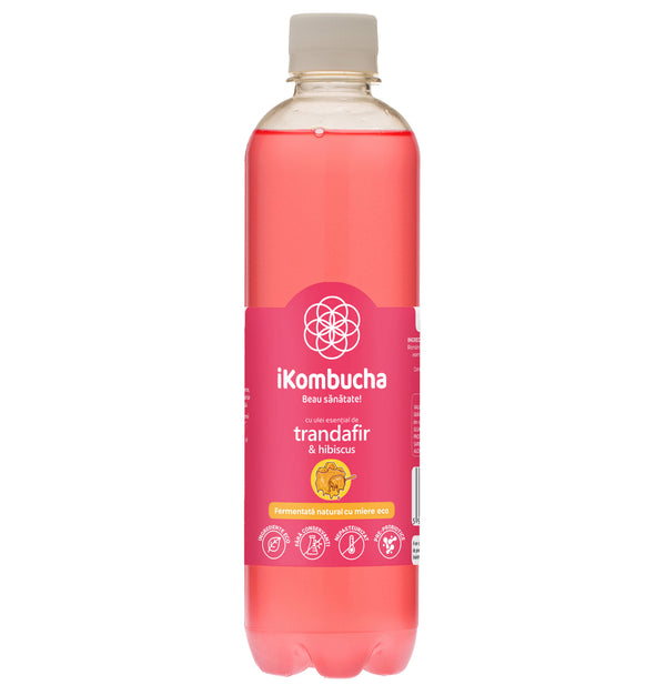 Ceai Kombucha fara zahar, cu TRANDAFIR si HIBISCUS, cu probiotice, vitamine si enzime pentru digestie si reducerea inflamatiei, 500 ml, iKombucha