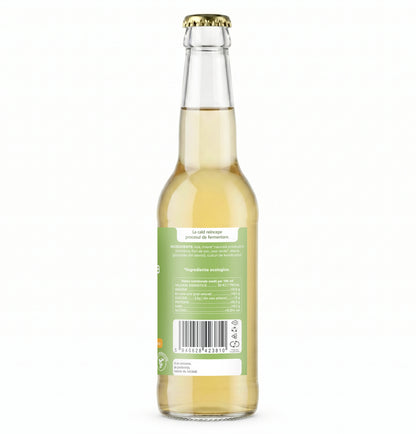 iKombucha cu flori de soc– 330 ml