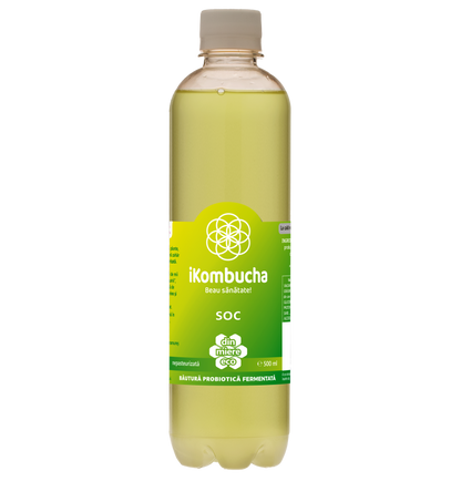 iKombucha - set 12x500 ml 100% ceai Kombucha